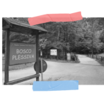 Bosco di Plessiva progetto Borderline sul confine italo-sloveno